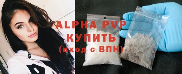 сатива Бородино
