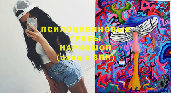 дживик Кукмор