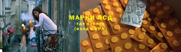 сатива Бородино