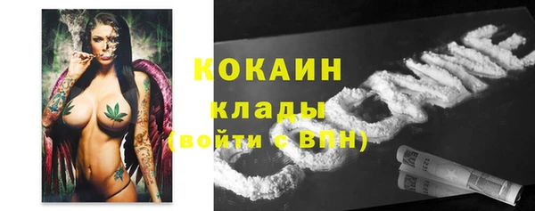сатива Бородино
