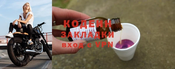 сатива Бородино