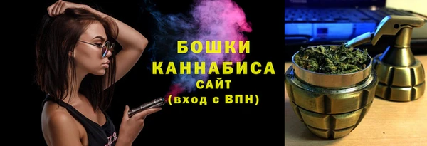 МДПВ Бронницы