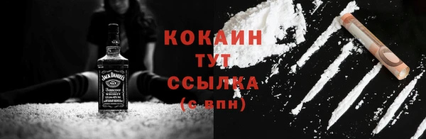 МДПВ Бронницы