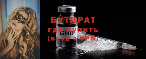 сатива Бородино