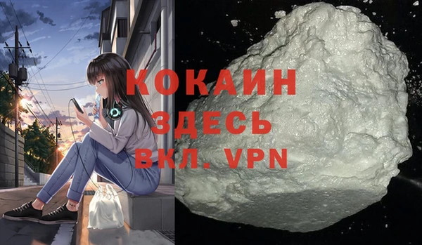 сатива Бородино