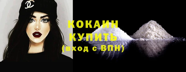 сатива Бородино