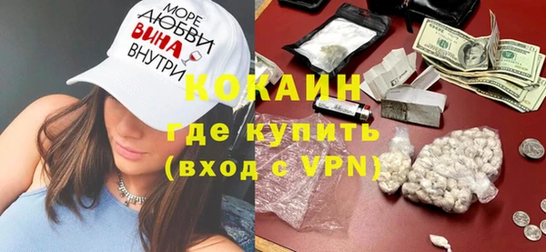 сатива Бородино