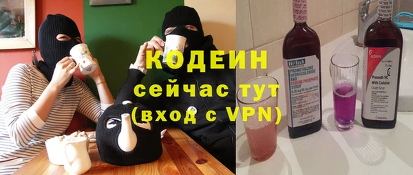 сатива Бородино