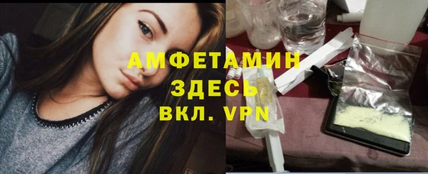 сатива Бородино